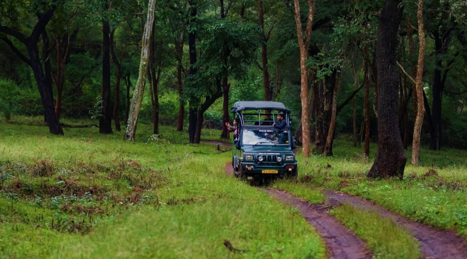 Nagarahole